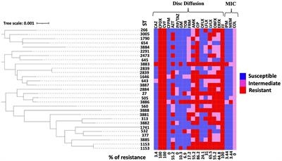 Antimicrobial resistance and genotyping of Pseudomonas aeruginosa isolated from the ear canals of dogs in Japan